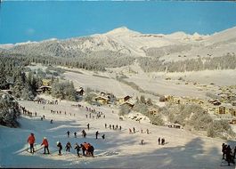 FLIMS Skiwiese und Skigebiet