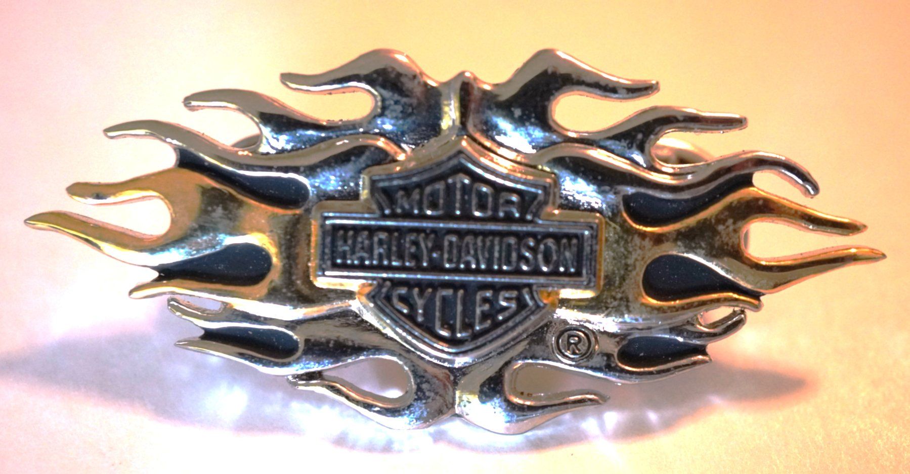 Harley-Davidson Plaketten & Abzeichen: Pin Harley Davidson 5 cm – Gebraucht aus Worb von worb01 1