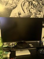 Monitor