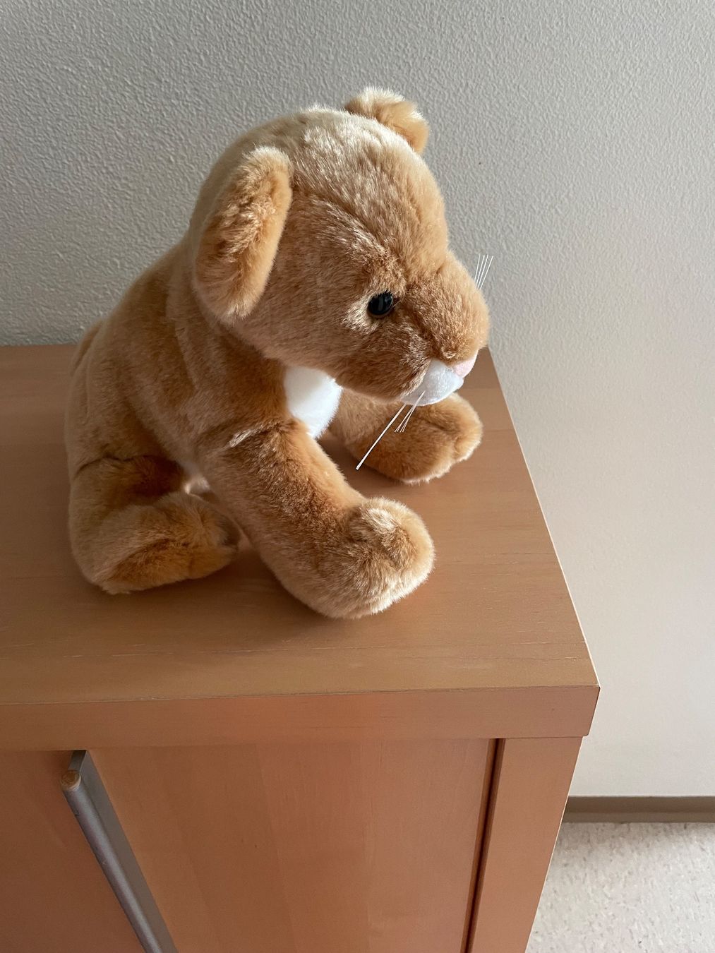 Jouets: Plüschtier – Neuf (Voir description) à Wettingen par lili_66 1
