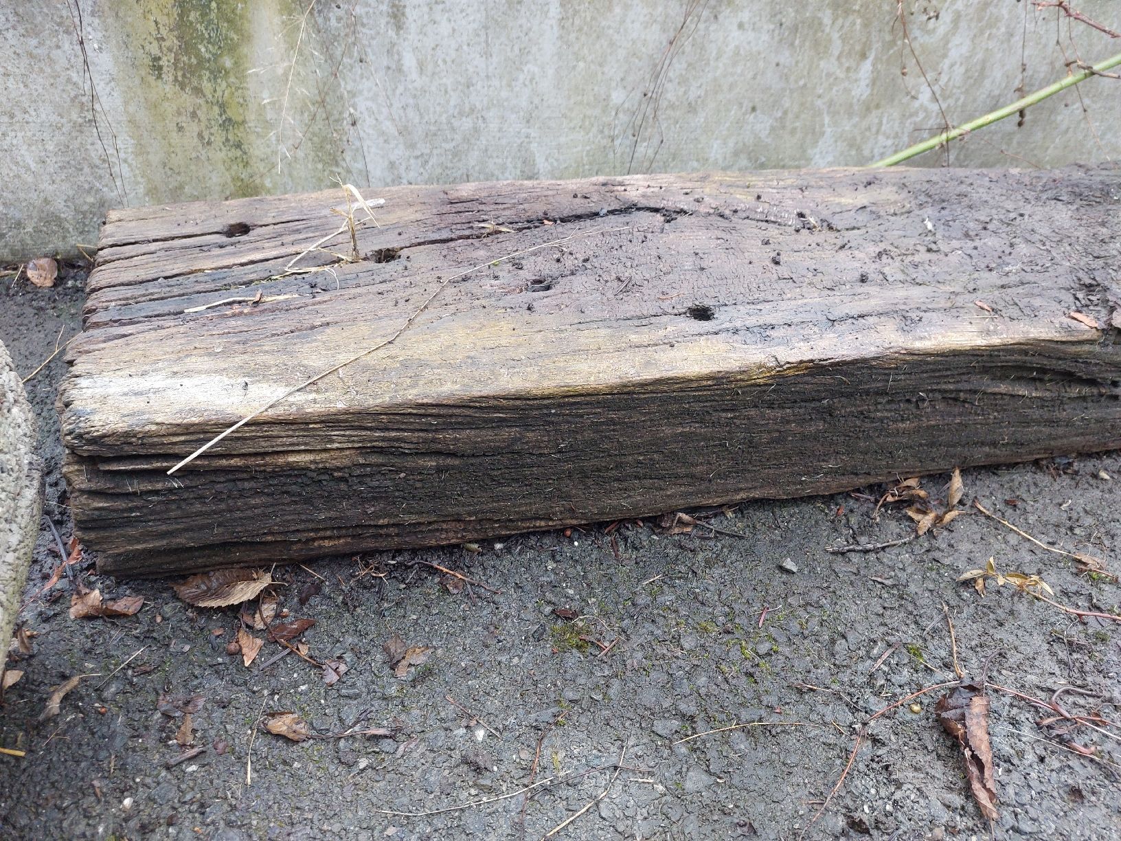 Articoli in legno: holz balken – Usato da Diepoldsau venduto da Tiaraa1 1
