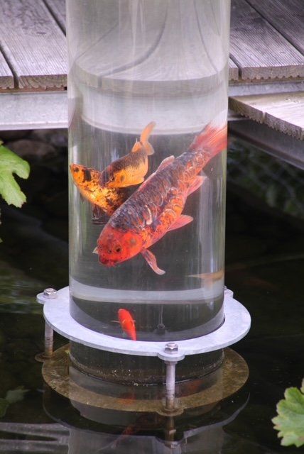 Fischturm für Gartenteich Sonderanfertigung Kaufen auf Ricardo