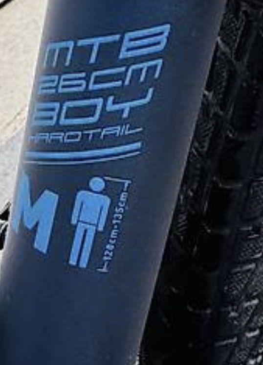 Stoke Biciclette: Stoke velo 20 zoll – Usato da Näfels venduto da Cecilia89 5