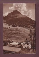 Engelberg - Bei den sieben Quellen - Hahnen - 1926