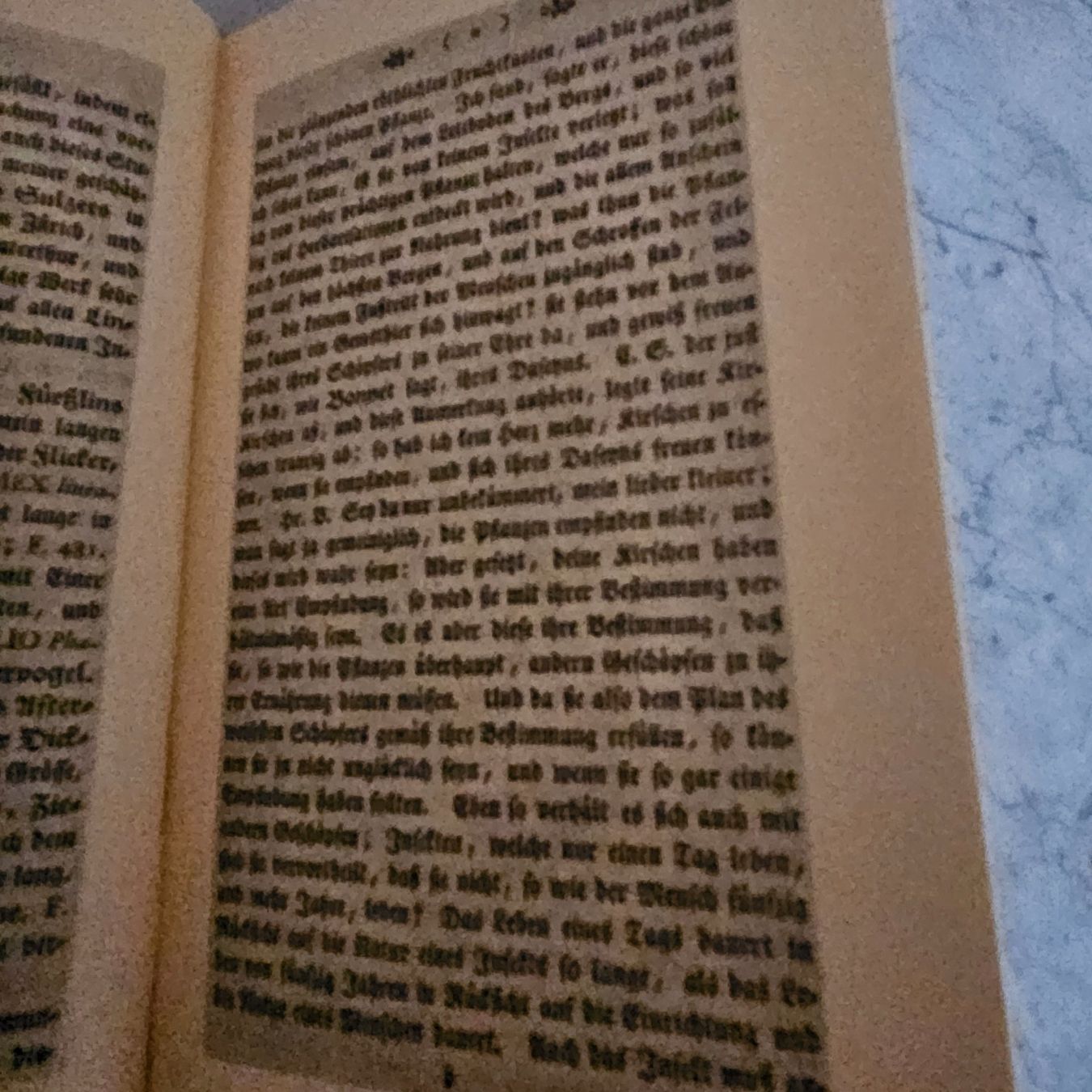 Libri: Die Reise auf den Uetliberg – Usato da Uster venduto da Sonnenblume212 6