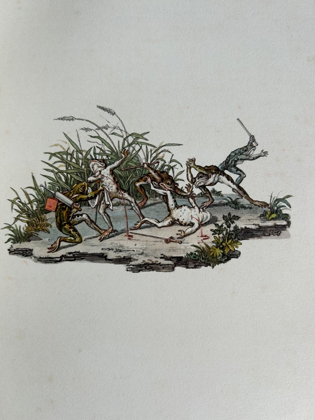 Bücher: Martin Disteli - Romantische Tierbilder – Gebraucht aus Basel von Peter_schlemihl 4