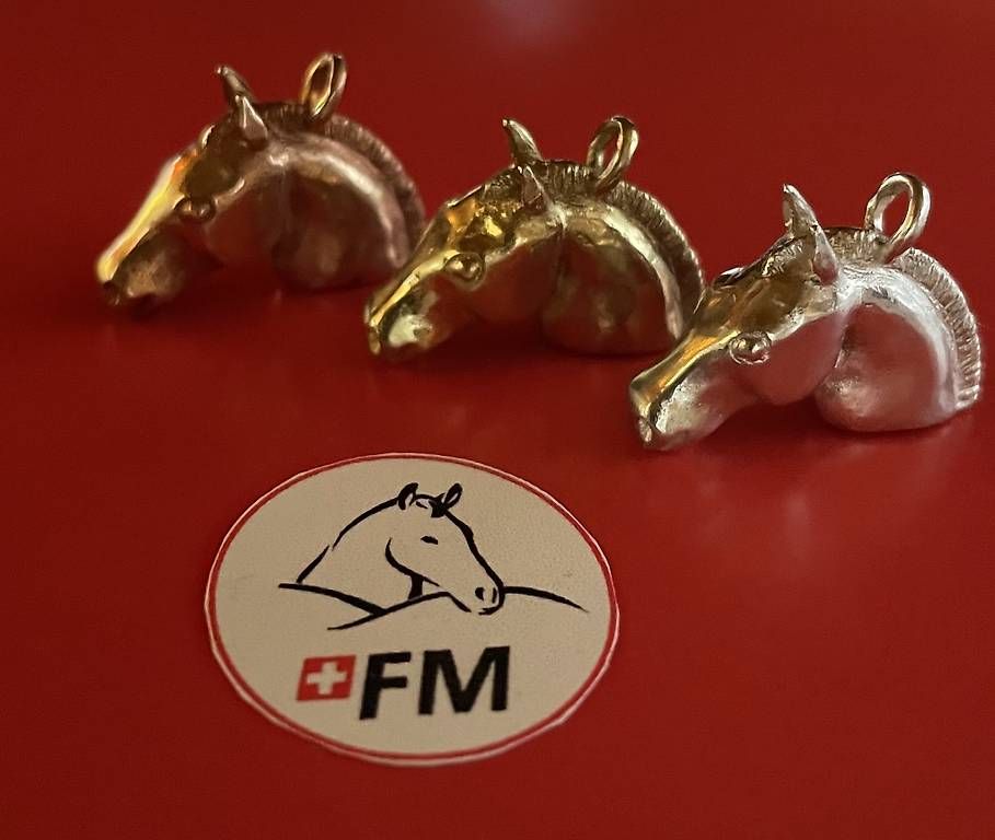 Autres bijoux: Freiberger Pferdeköpfchen in Messing, Bronze oder Silber  – D'occasion à Leysin par ulr_bj8s