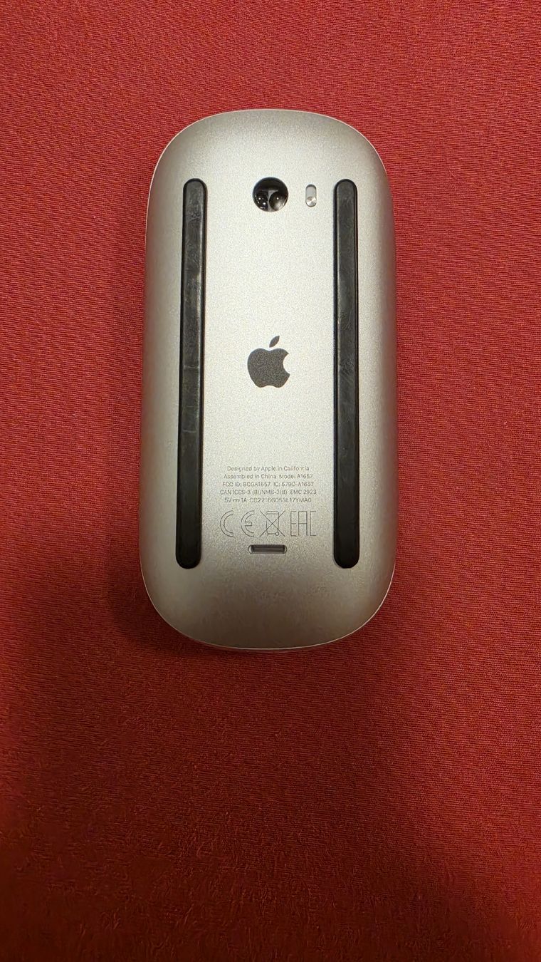 Apple Maus: Magic Mouse Apple – Gebraucht aus Zug von SZC. 2
