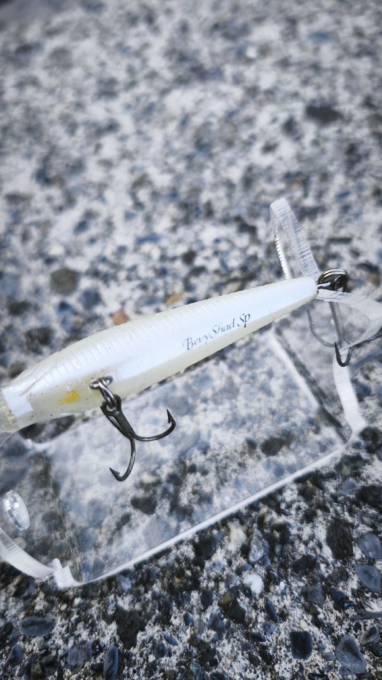 Appâts: Lucky Craft Bevy Shad 60 SP – D'occasion à Sarnen par sebalant 2