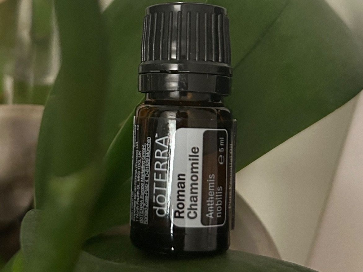 Doterra Oli essenziali: DoTerra Roman Chamomile OVP ätherisches Öl – Nuovo e nell'imballaggio originale da Allschwil venduto da meeresperle