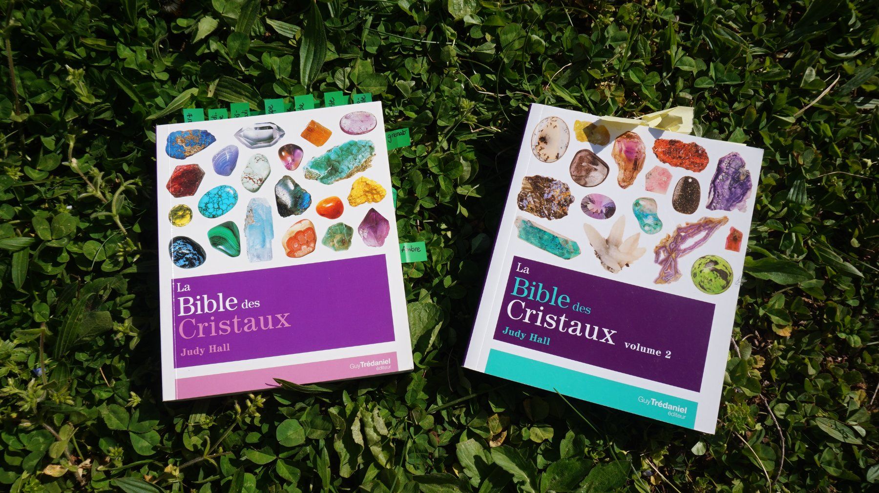 Libri: 2 bibles des cristaux – Usato da Clarens venduto da dia_sw29