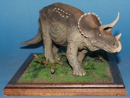 Triceratops 1:35 Kaiyodo