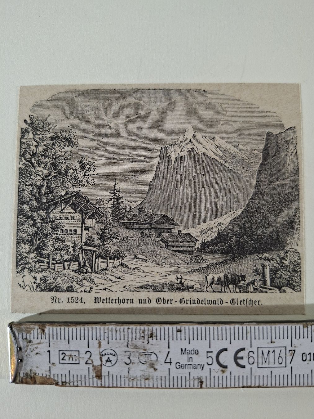 Incisioni: Lot 66 , 10 Stiche  – Usato da Grindelwald venduto da carro5 7