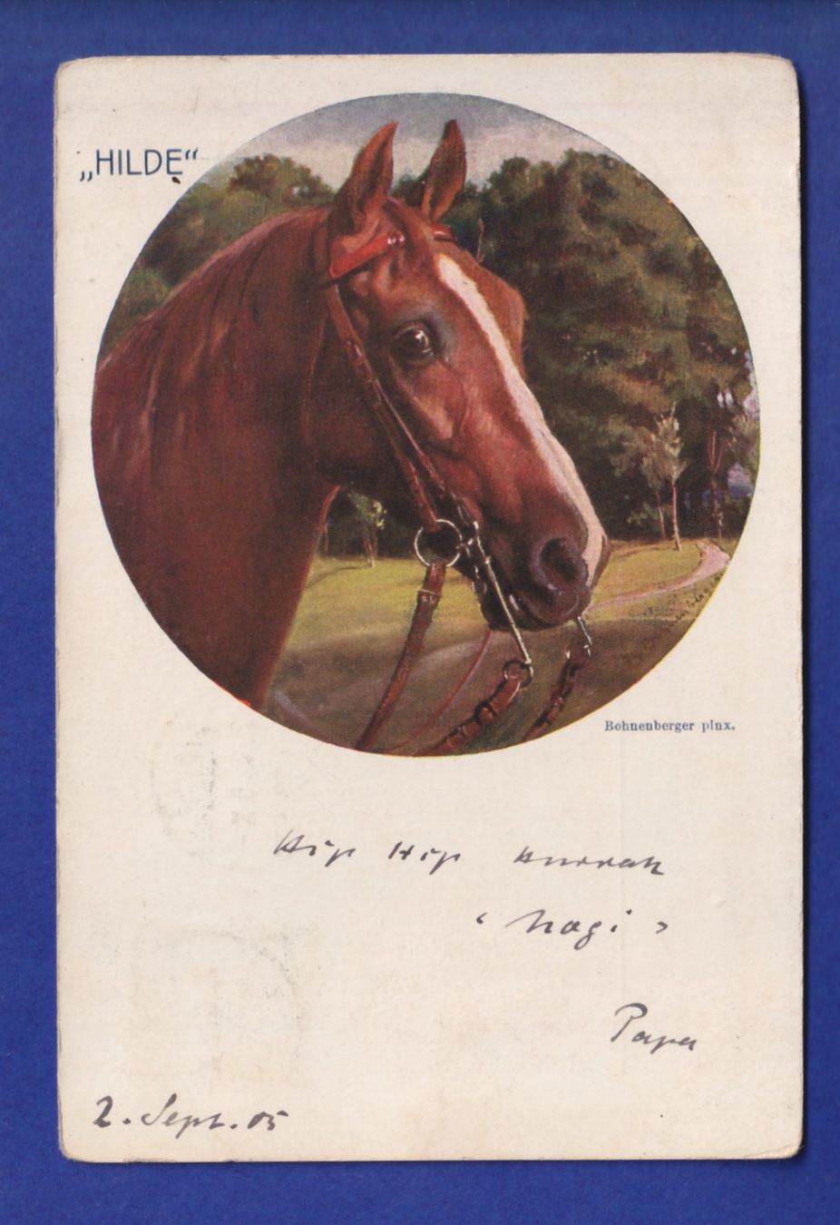 Cartes postales: CHEVAL / PFERD - Hilde – D'occasion à Pully par nicecards-shop