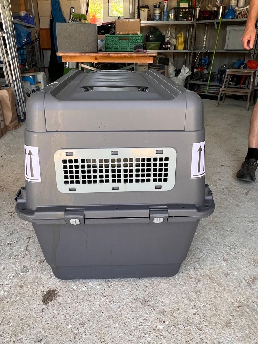 Käfige, Transport & Sicherheit: Hundebox Transportbox Grösse L – Gebraucht aus Landquart von James_duke 1