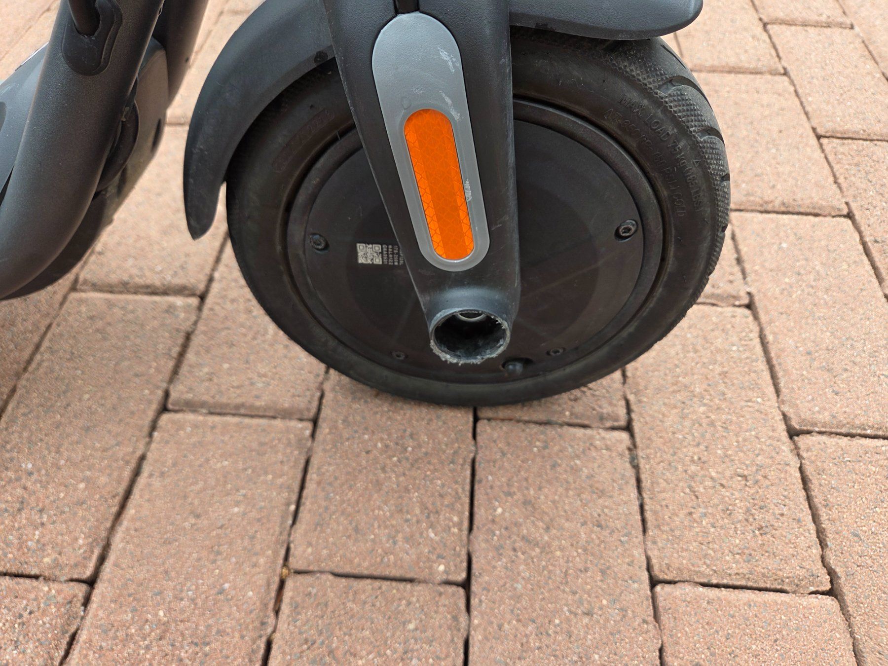 Scooter: Segway-Ninebot F20d E-Scooter – Usato da Riehen venduto da san_2v79 8