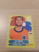 Panini WM 2026 NED 20