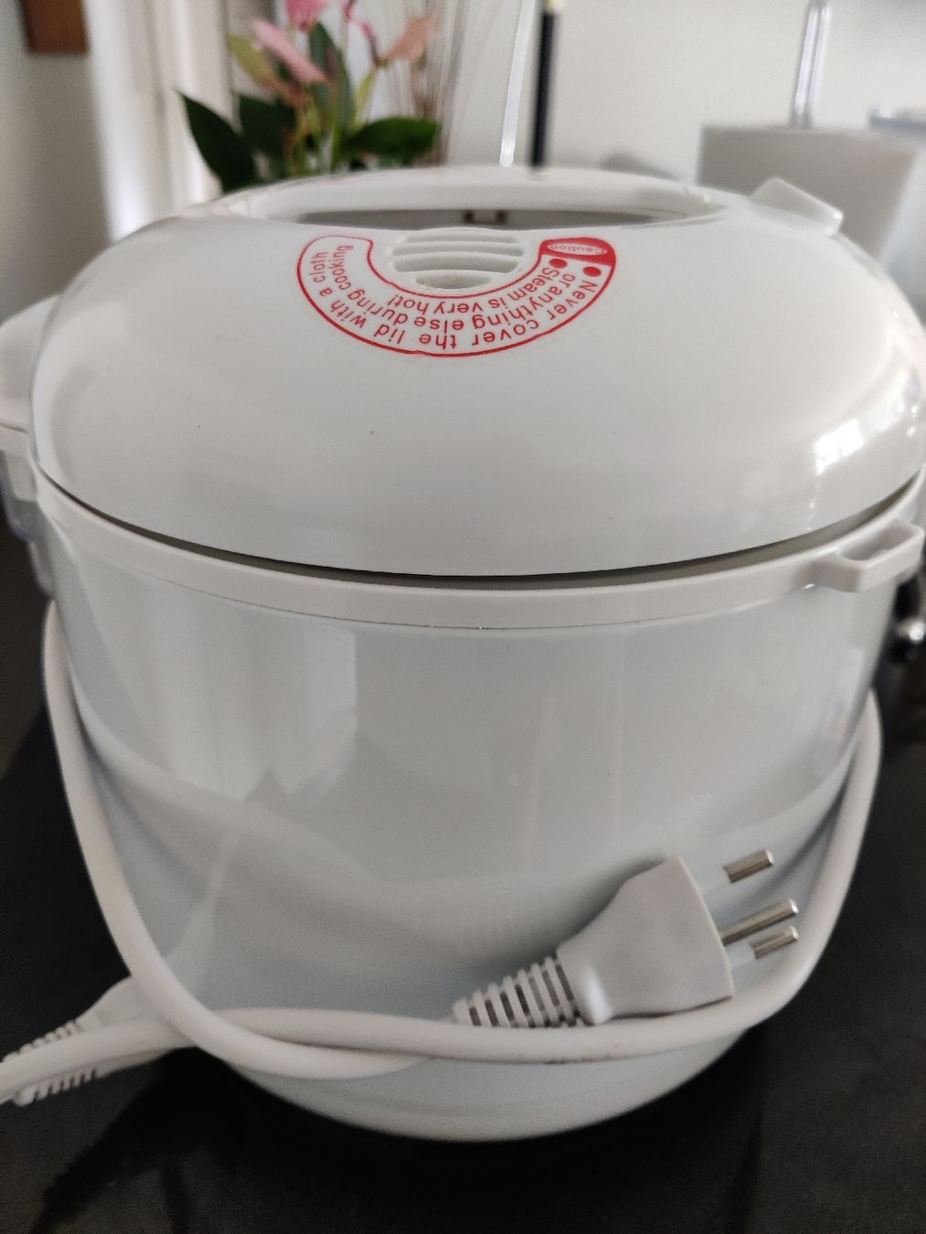 Elettrodomestici da cucina: Rice and vegetables cooker – Usato da Wollerau venduto da Sella55