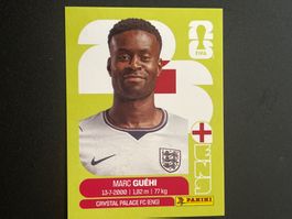 Panini ENG4