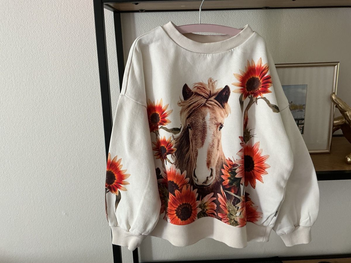Molo Pulls et sweat-shirts: Molo Pullover (Grösse 116  – D'occasion à Kilchberg ZH par nad_6dwp