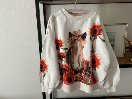 Molo Pullover (Grösse 116 