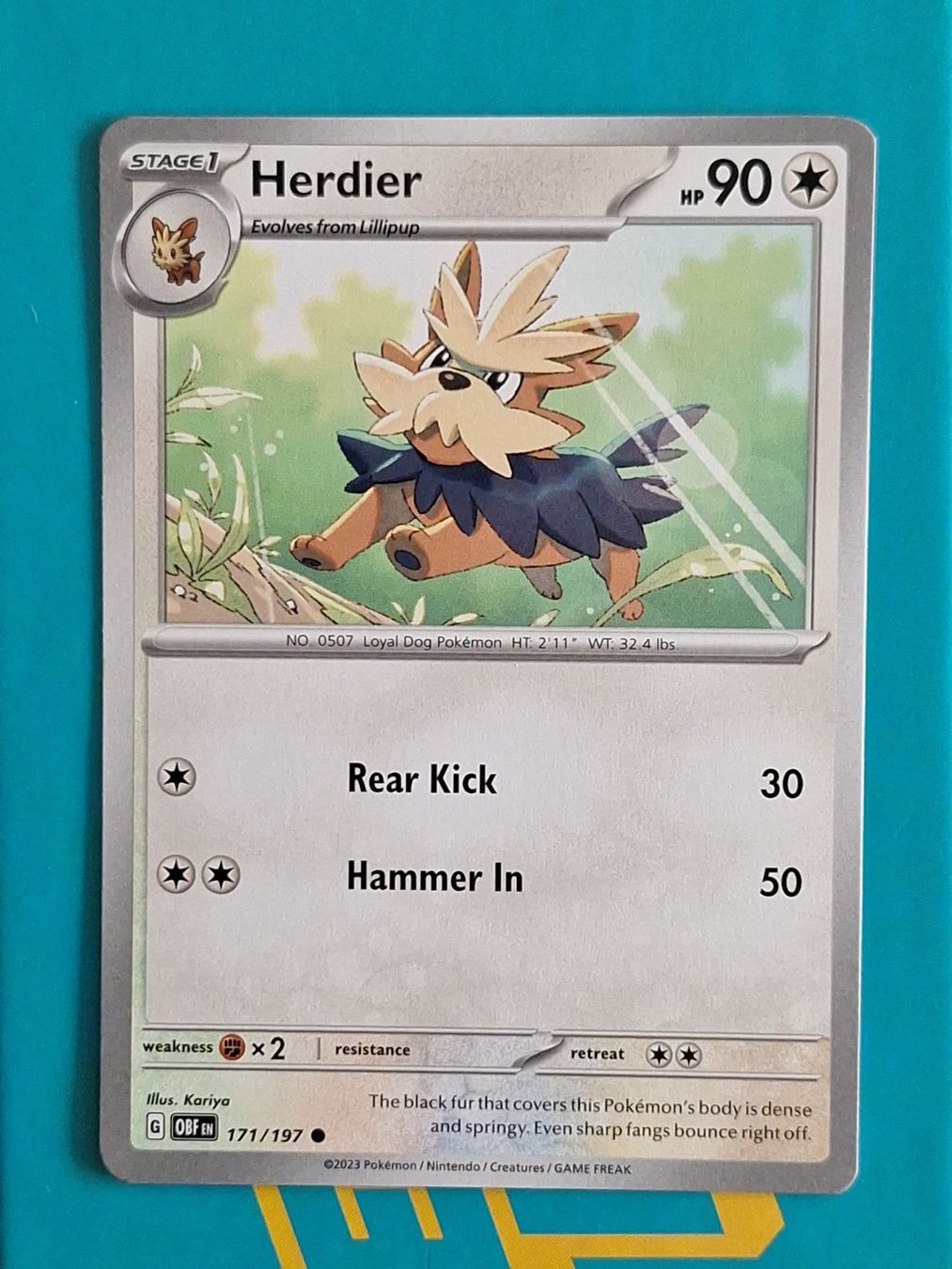 Pokémon Carte collezionabili: Herdier - Pokemon Obsidian Flames – Usato da Altstätten SG venduto da GGsGameshop
