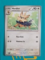 Herdier - Pokemon Obsidian Flames