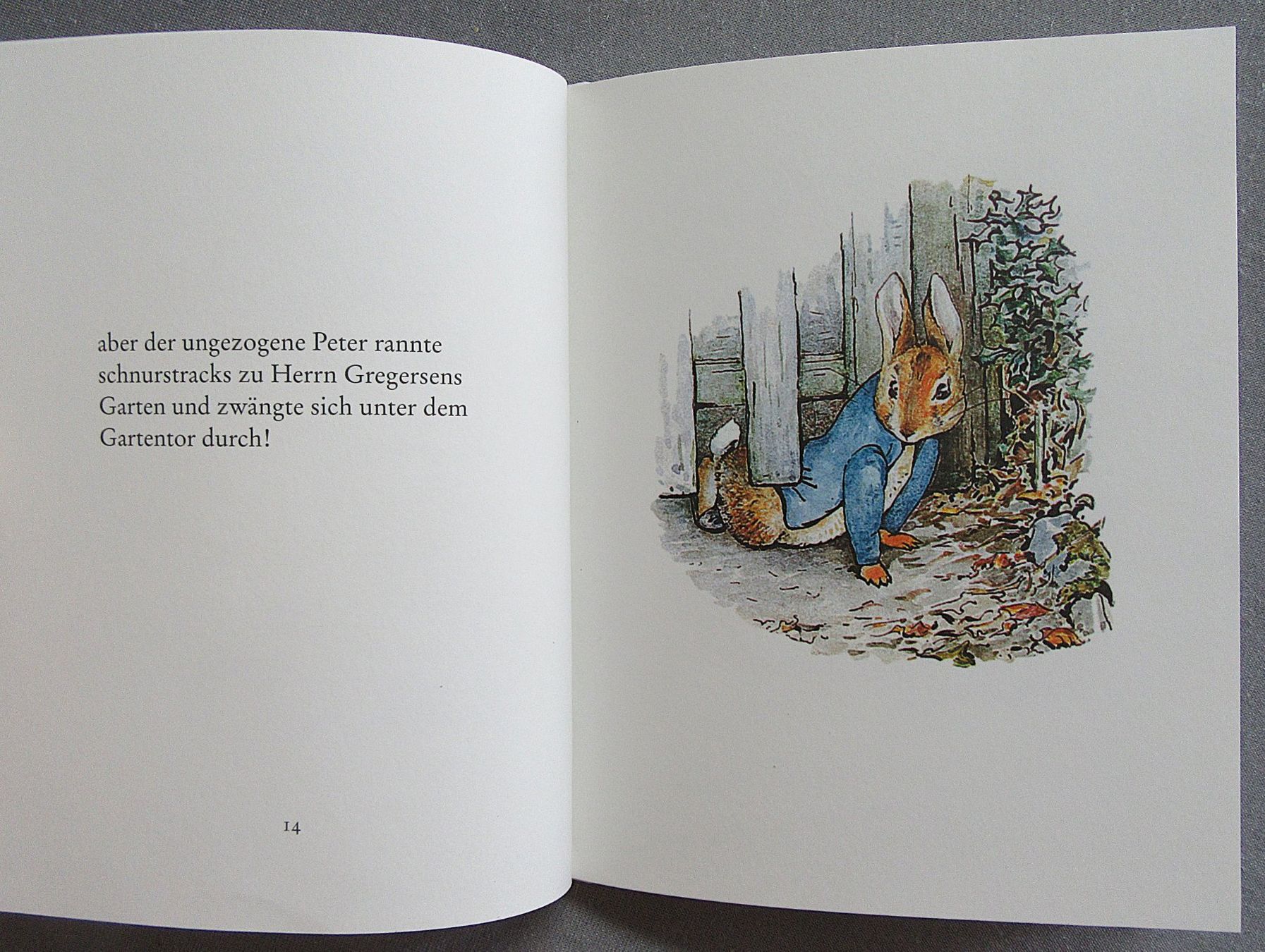 Livres: Die Geschichte von Peter Hase - kleines Bilderbuch – D'occasion à Auenstein par Padabimbim 4
