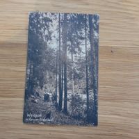 Postkarte Ancienne Waldpark Lyssach 1911