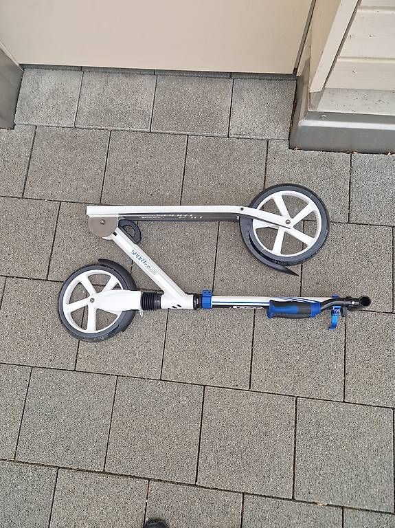 Kickboard: Trottinet  – Usato da Zell LU venduto da soko 2