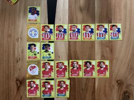 Panini WM 2026 Gruppe D