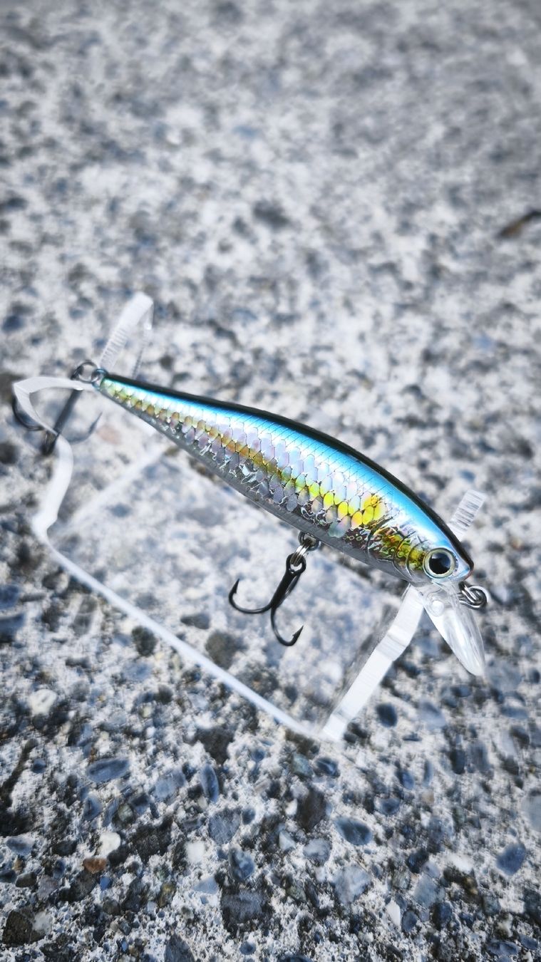 Appâts: Lucky Craft Pointer SP 65 – Neuf (Voir description) à Sarnen par sebalant 2