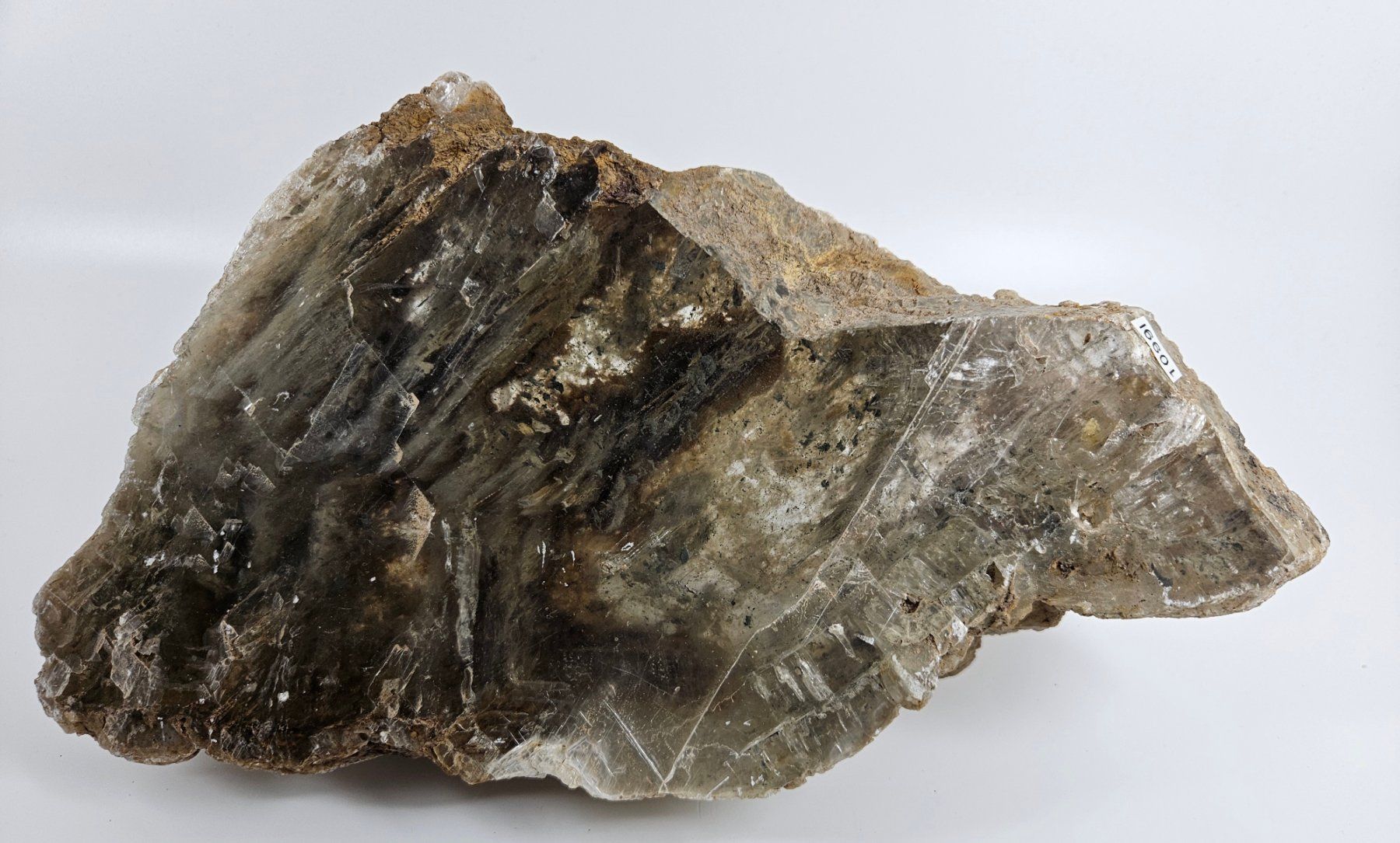 Minerali & Pietre curative: Gipsstufe, Südtunesien – Usato da Uzwil venduto da Chobel1 4