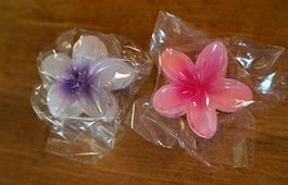Hibiskus Hair Clip - Haarspangen Set 🌸🌺
