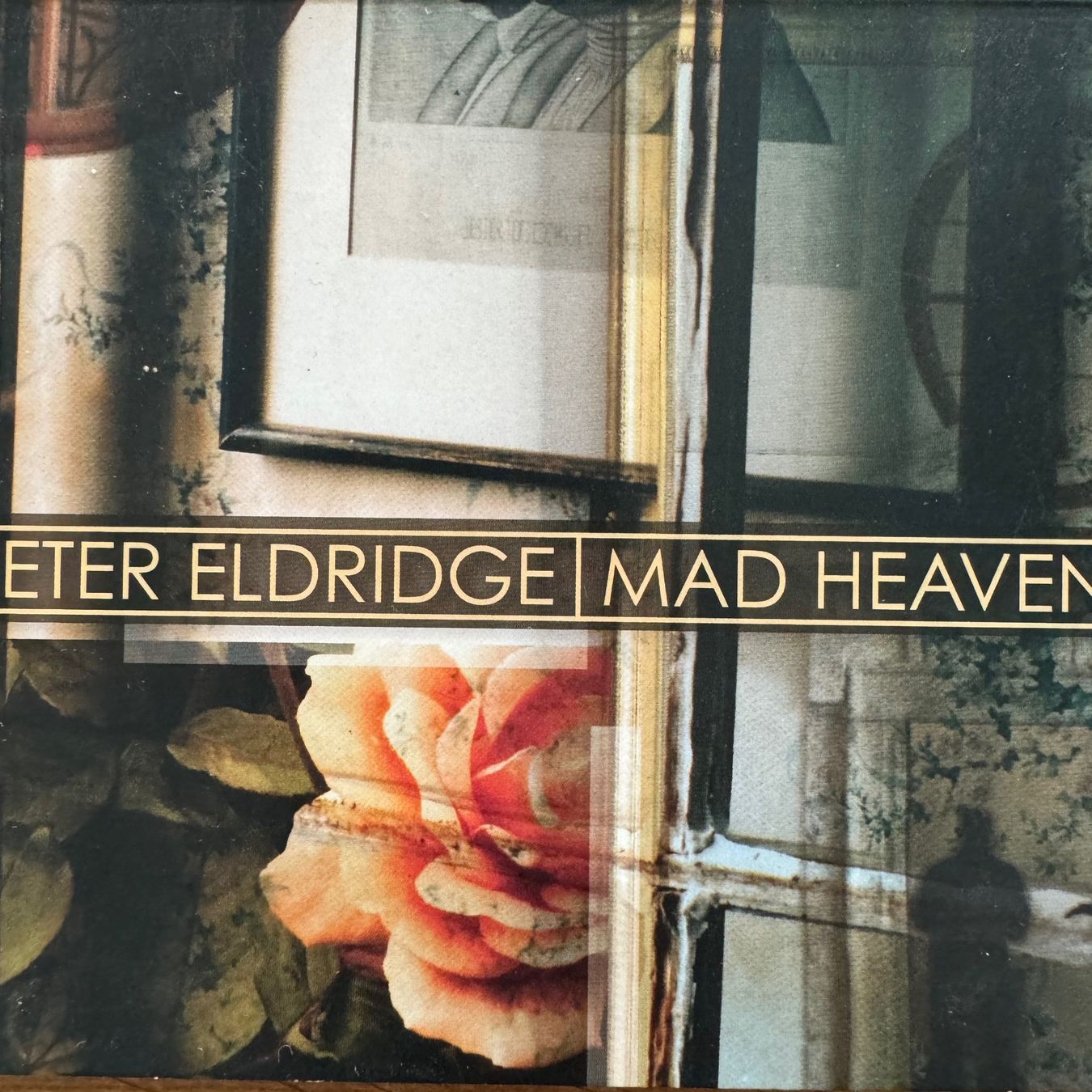 CD: Peter Eldridge - Mad Heaven (CD) 2011 w. Tim Lefebvre – Usato da Zug venduto da Mirare9