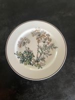Assiette Villeroy & Boch Carum Carvi Botanica