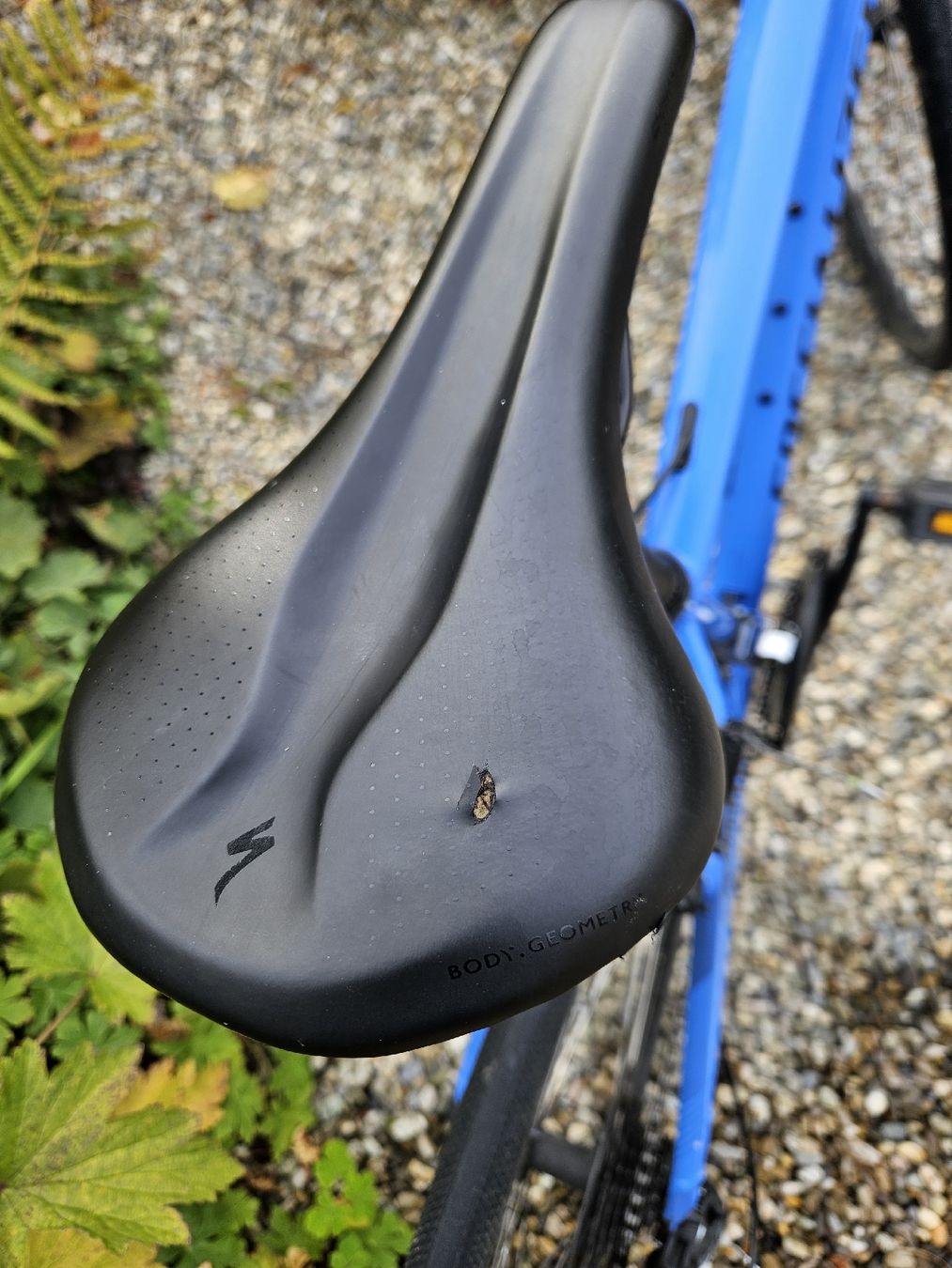 Specialized Velos: Specialized Sirrus 1 – Gebraucht aus Burgdorf von I3iRd 6