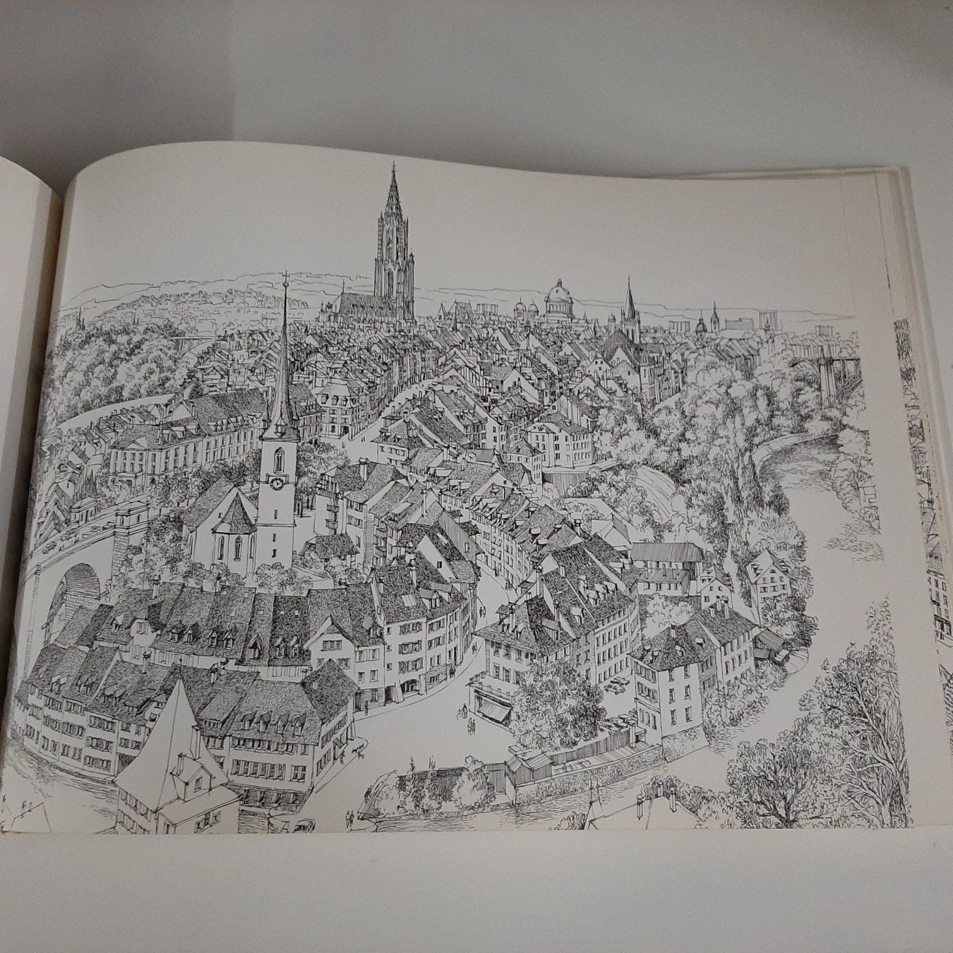 Libri: Städte und Dörfer der Schweiz – Usato da Zürich venduto da Schoebi19 6