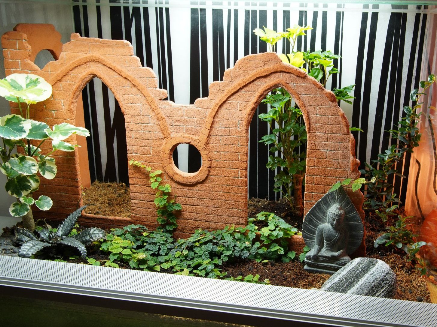 Terrarium: Terrarium – Gebraucht aus Wil SG von froschbiss 1