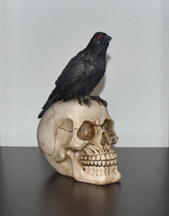 Totenkopf mit Rabe (Neu und originalverpackt) in Menziken für CHF 36 ...