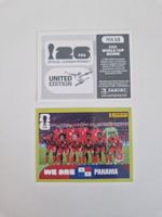 Panini Sticker PAN13