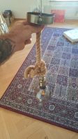 Lampe mit Seemansseil und Glühbirne