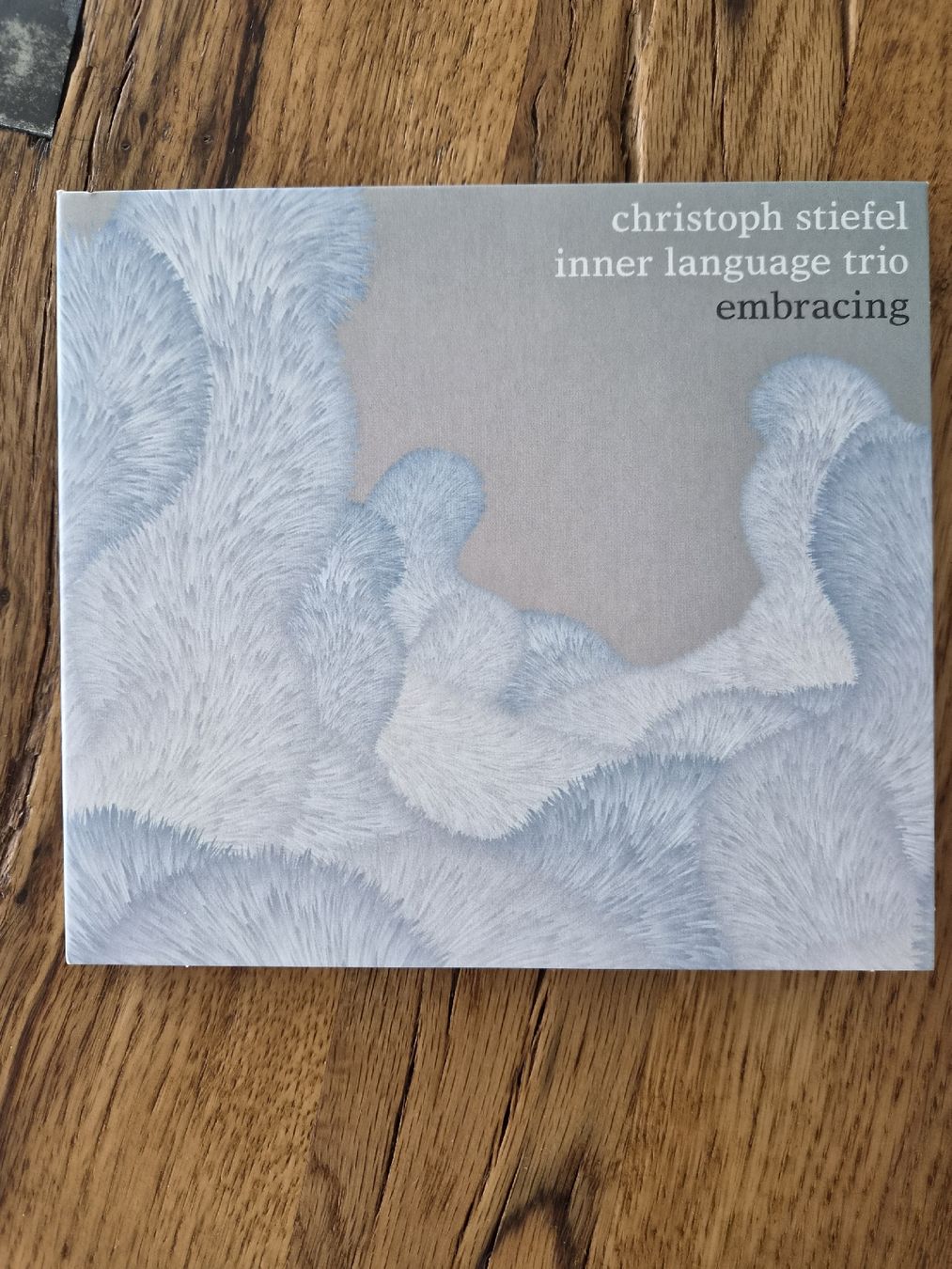 CD: CHRISTOPH STIEFEL INNER LANGUAGE TRIO – Nuovo (secondo la descrizione) da Zofingen venduto da Tinpan