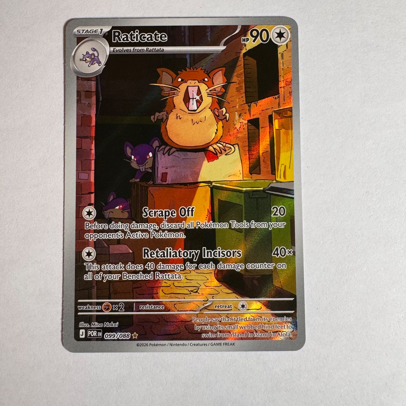Pokémon Carte collezionabili: Pokémon - POR - Raticate - 99 / 88 - ENG – Nuovo (secondo la descrizione) da Staad SG venduto da miaCards