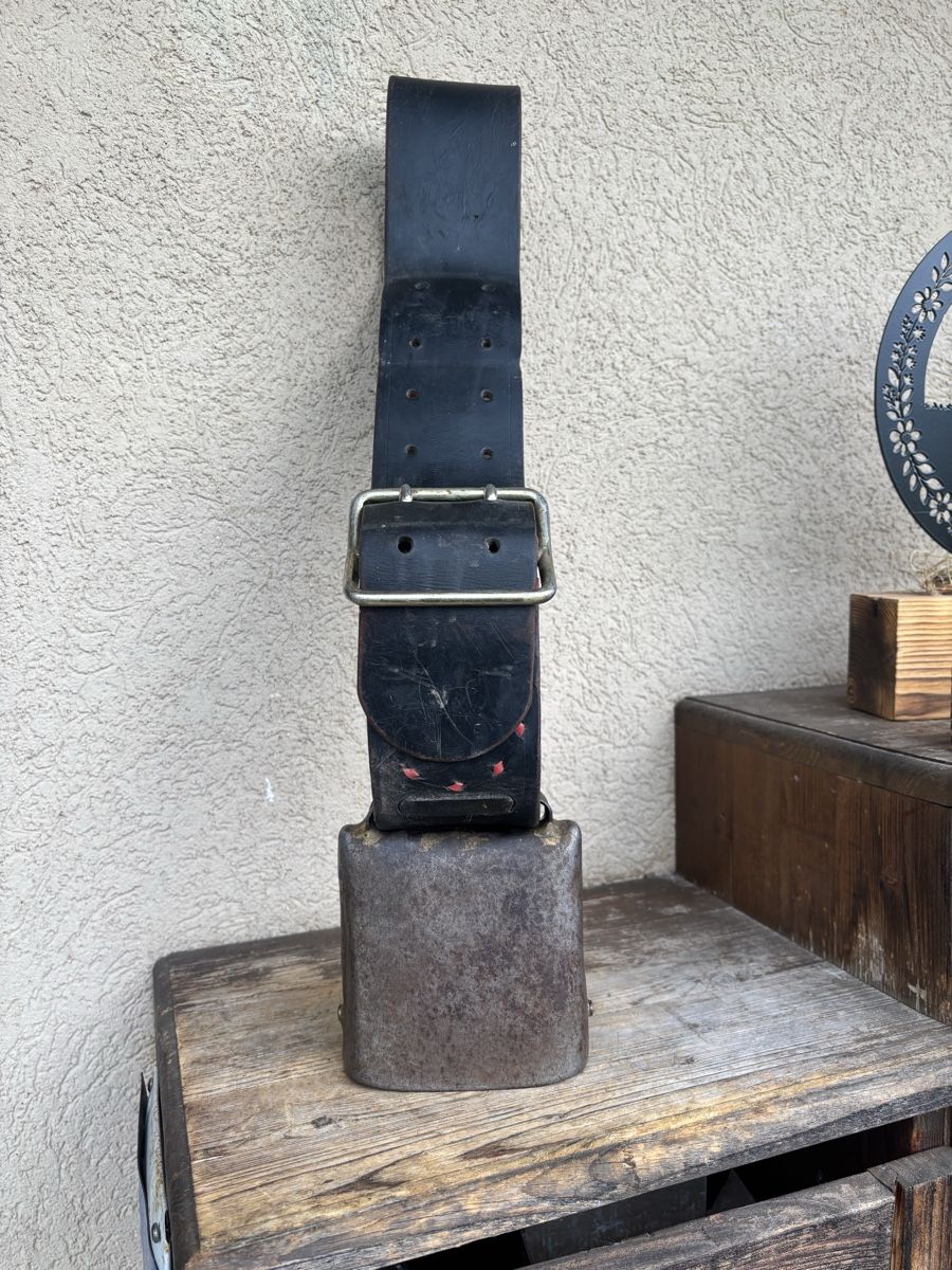 Glocken & Treicheln: Bisse – Gebraucht aus Schangnau von Roseggli82