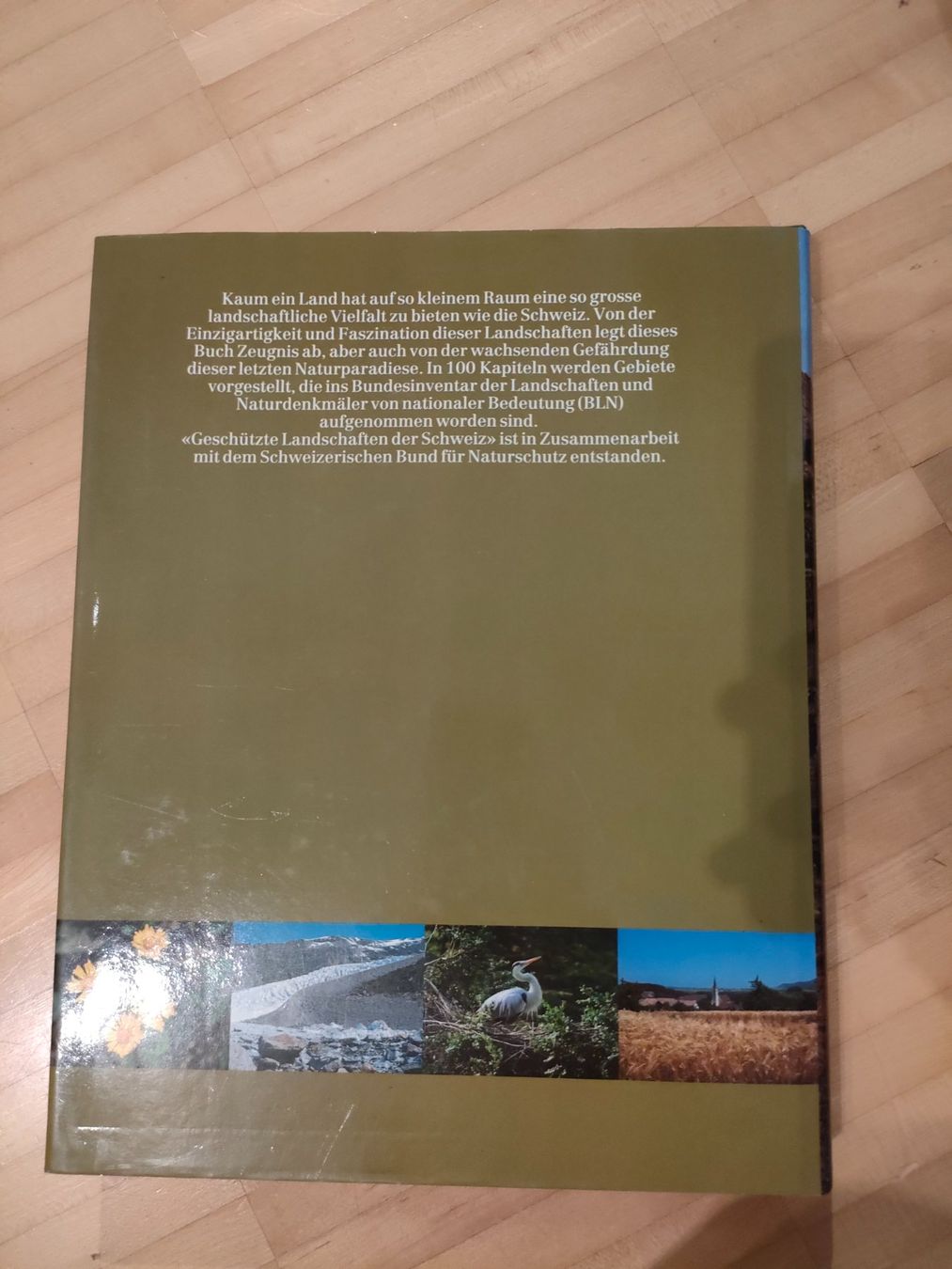 Libri: Buch: Geschützte Landschaft der Schweiz – Usato da Wiesendangen venduto da s_er 1