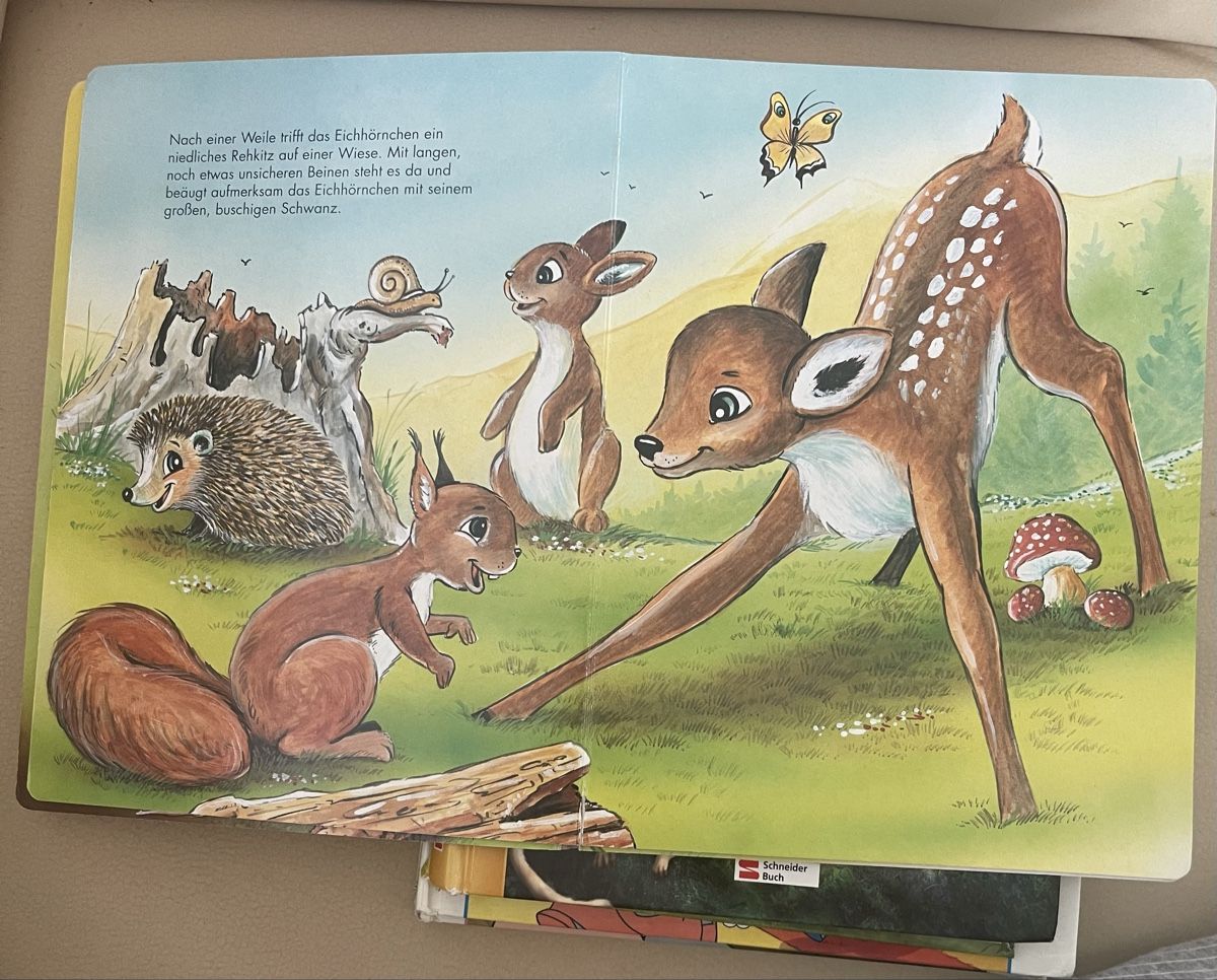 Livres: Das flinke Eichhörnchen Kinderbuch Schneider Buch – D'occasion à Birr par Elines 2