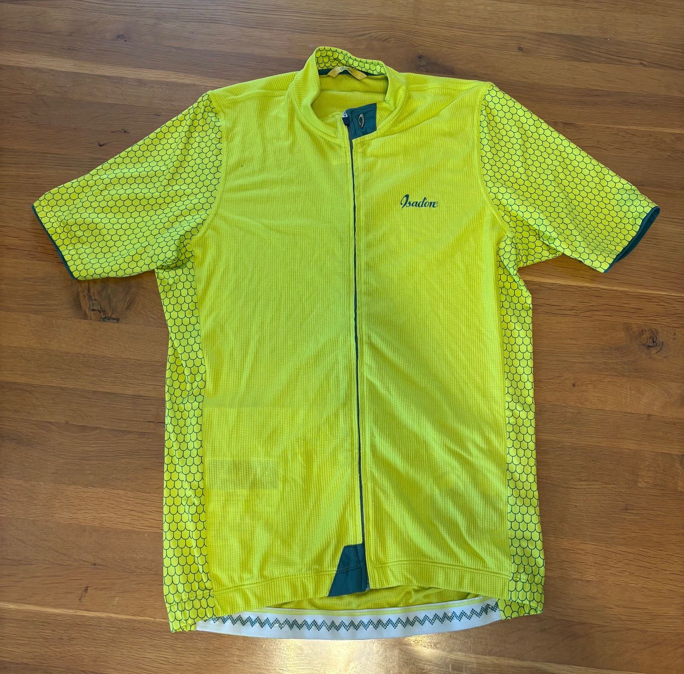Canottiere & Pantaloni: Isadore Climber´s Jersey Vrsic – Usato da Thalwil venduto da Swisshoneys 4