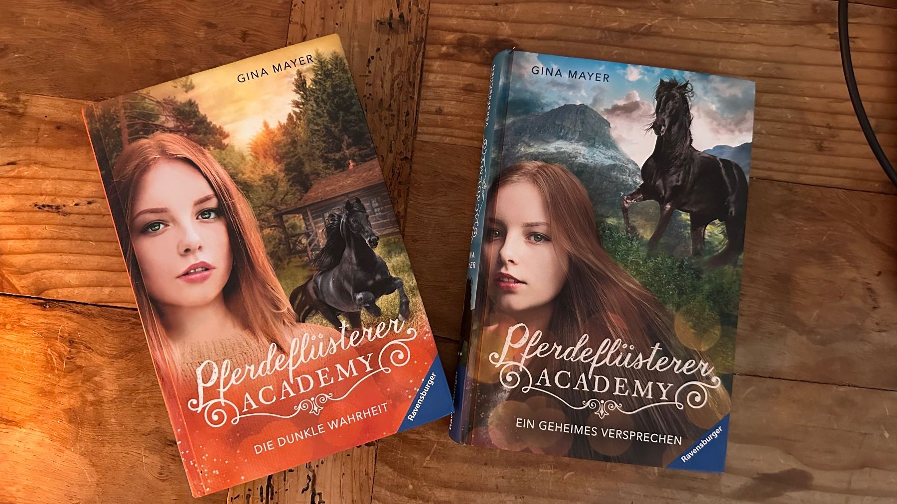 Libri: 2 Pferdeflüsterer Academy Bücher – Usato da Dübendorf venduto da TojaRose