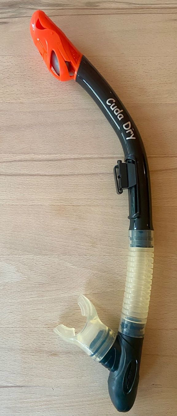 Bombole da sub: Aeris Schnorchel Cuda Dry – Usato da Widnau venduto da ama_7xzk